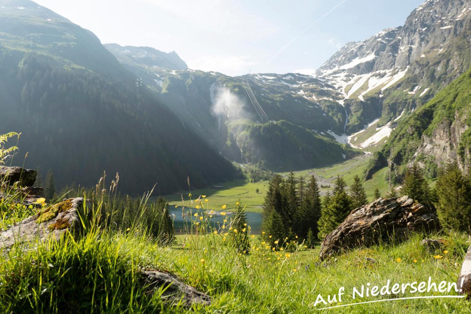 Ferienwohnung Auf Niedersehen - 8 Personen - Kitzbuehler Alpen - Hoehe Tauern Np Hollersbach im Pinzgau Kültér fotó
